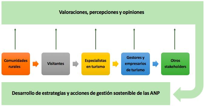 Modelo de estudio planteado para
analizar los actores de las ANP