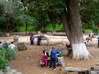 Visitantes del Molino de Flores en un momento de descanso y reunión familiar