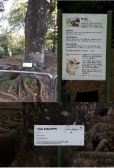 Preservação da fauna e da flora locais e informações sobre fauna e flora