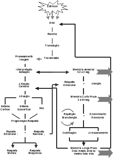 Modelo Fisiol�gico da Influ�ncia dos Sentidos mo��es e Mem�rias na Experi�ncia Tur�stica