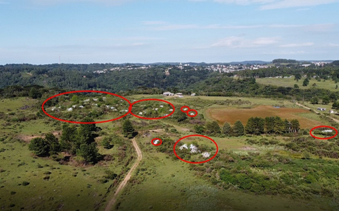 Imagem a�rea de um trecho antropizado no Parque Natural Municipal da Ronda