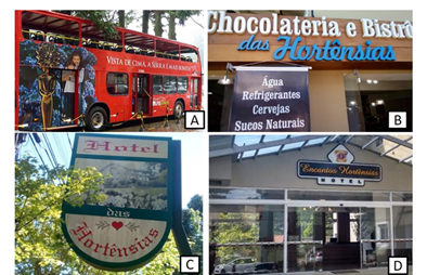 Empreendimentos comerciais que levam o nome ou a imagem da hort�nsia