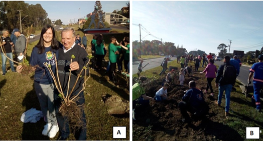 Mutir�o de plantio de mudas de hort�nsias ocorrido na RS-235 em Canela.