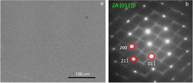 ( WQ specimen of the alloy A1: (a) BSE-SEM and (b) SAED pattern showing [110]β zone axis.