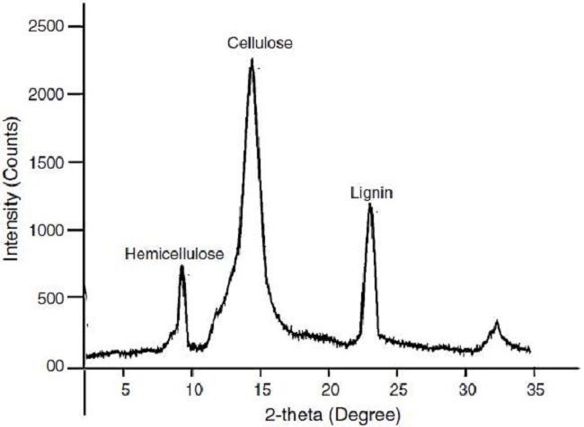 X-ray diffraction study of coffee husk.
