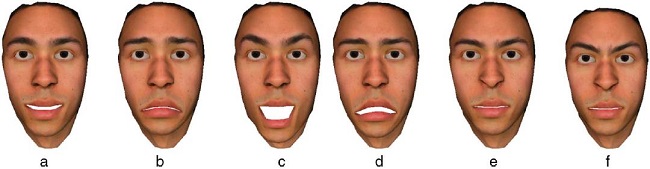 The six universal expressions prebuilt into the system: (a) happiness, (b) sadness, (c) surprise, (d) fear, (e) disgust, (f) anger.