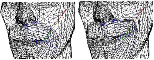 The face mesh before, left, and after, right, a linear muscle contraction.