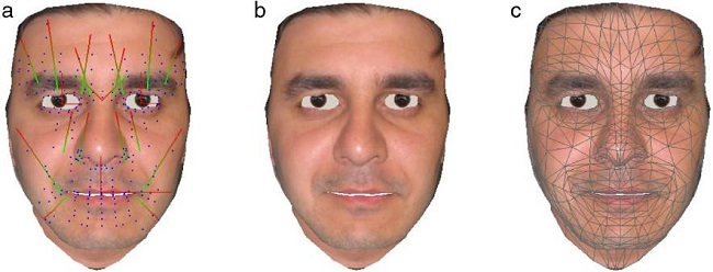 The face animation system showing (a) muscle placements, (b) texture only, and (c) the underlying mesh.