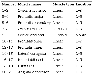 Animation system abstract muscle list.