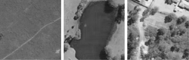 Non-urban: shows samples of this type. All of them were gray level images with 8 bit per pixel.