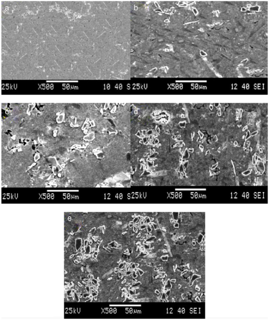 SEM micrograph of (a) cast LM6/5 wt% SiCp, (b) cast LM6/10 wt% SiCp, (c) cast LM6/15 wt% SiCp, (d) cast LM6/20 wt% SiCp and (e) cast LM6/25 wt% SiCp.
