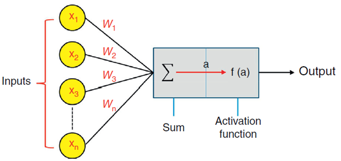 Simple neuron model: each input Xn is weighted by a factor Wn . The sum of all inputs is calculated (∑all inpuntsWnXn ); then an activation function f is applied to
							the resultant a. The neural output is taken to be
								f(a); and f(a)=
							activation function ((∑all inpuntsWnXn ))