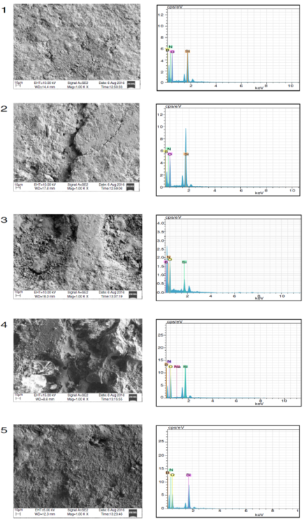 SEM micrograph and EDS analysis of sample 1-5.