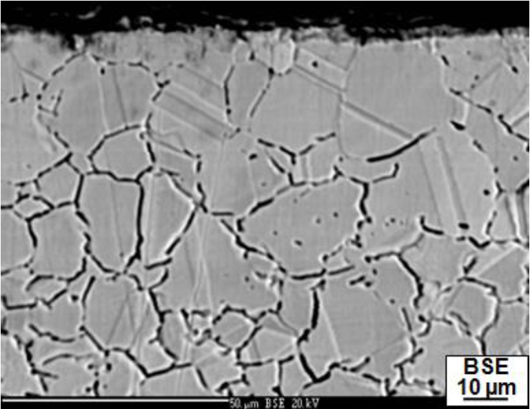 EPMA-BSE microstructure of the individual wire near failed end
							showing dark network along grain boundaries.