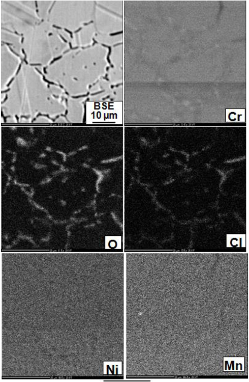 X-ray elemental distribution mappings of Cr, O, C1 Ni and Mn obtained
							by EPMA illustrates enrichment of Cr, C1 and O along the grain
							boundary.