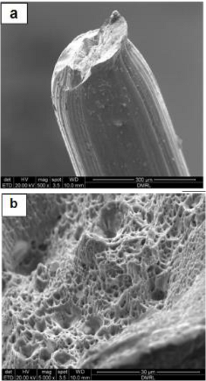 SEM fractographs of tensile tested unused wire rope: (a) low
							magnification (b) high magnification showing considerable reduction in
							size with dimple mode of fracture.