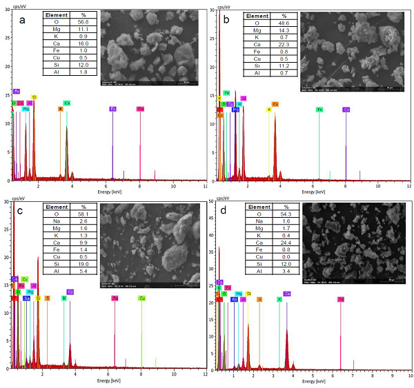 EDX analysis of natural mineral catalysts a. NC-Dolomite, b.
								C-Dolomite, C. NC-Clinoptilolite and d. C-Clinoptilolito.