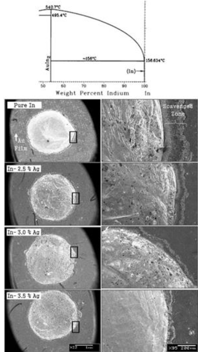 Eutectic segment of In-Au phase diagram showing the formation of scavenging phase. Others are SEM micrographs of various solder alloys demonstrating reductions in scavenging zone with silver contents.