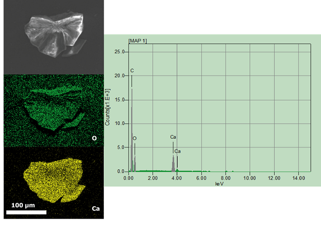 Top views and EDS mapping elemental analysis of crystals obtained
								by biomineralization of Bacillus subtilis culture
								after 3 days of exposure.