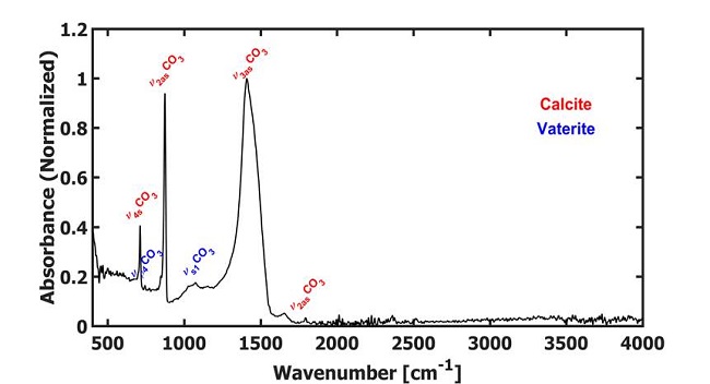 IR spectrum of biogenic calcium carbonate crystals obtained by
								biomineralization of Bacillus subtilis culture
								after 3 days of exposure.