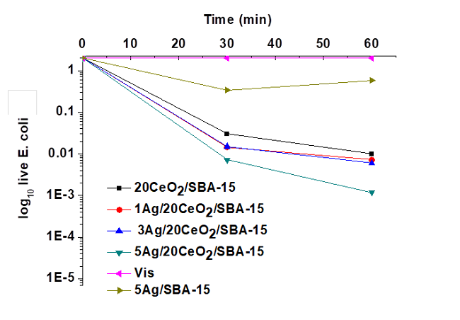 E. coli deactivation in the present of visible
								light with catalysts.