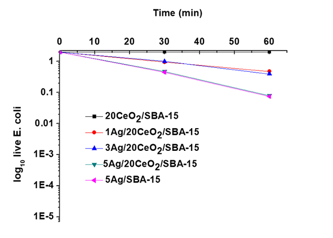 E. coli deactivation in the absence of light
								with catalysts.
