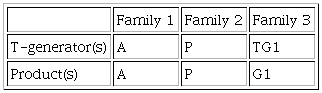 Relationship between t-generators and product families.