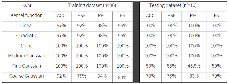 Evaluation of SVM classifiers’ performances.