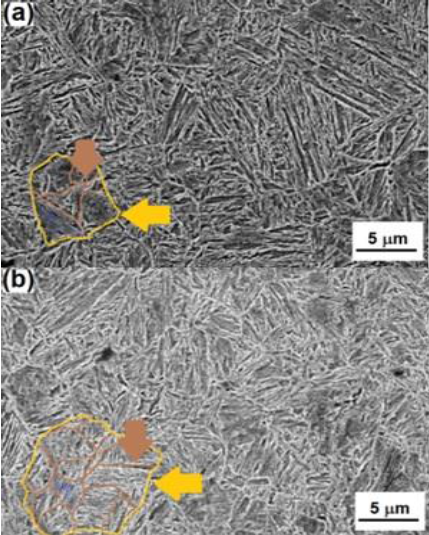 SEM micrographs showing microstructures of (a) HR+ WQ+ T, and (b)
							HR+AC. In both figures, the yellow contours are delineating packages of
							bainite, and the brown contours remark specimen&rsquo;s grain size.