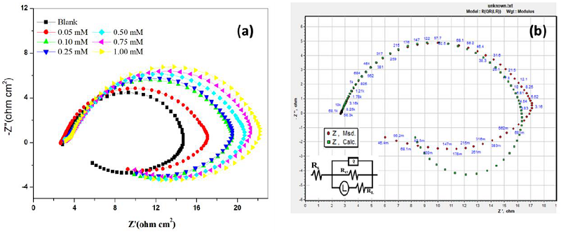 (a) Nyquist plots for AA-SiC composite in the blank and inhibited
								solution at 303 K (b) The simulating curve and equivalent
								circuit.