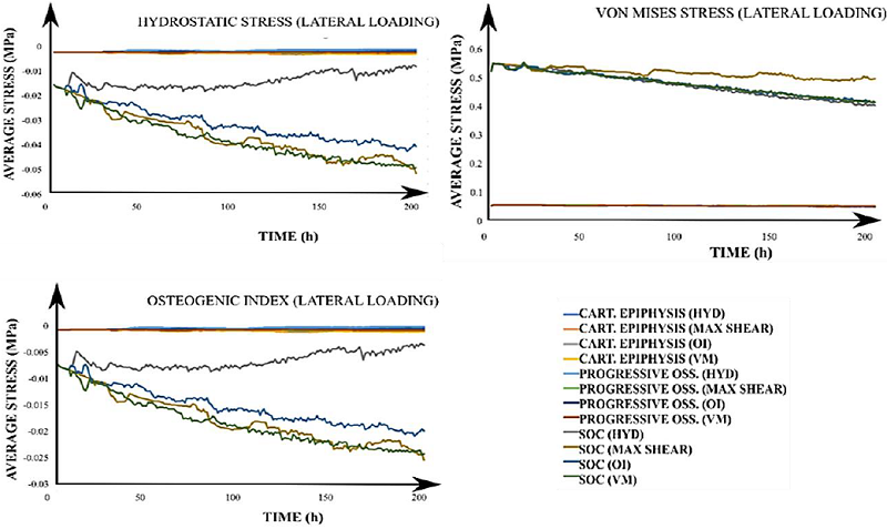 Growth plate average stresses for all simulated cases under a
								lateral load. The title of each graph corresponds to the calculated
								average value of the stimulus with the applied loading scheme (in
								parenthesis). In the legend, each label has the corresponding
								developmental scenario (cartilaginous epiphysis, progressive
								ossification, and the onset of the SOC) and, in brackets, the
								driving stimulus for the column advance. CART: Cartilaginous. OSS:
								Ossification. SOC: Secondary Ossification Center. HYD: Hydrostatic
								stress. OI: Osteogenic Index. VM: Von Mises stress.