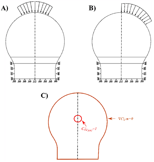 Loading schemes and boundary conditions applied to all geometric
								models. A) Axial compressive loading scheme. B) Lateral compressive
								loading scheme. C) Biochemical boundary conditions during SOC
								development. The dashed vertical line represents the axis of
								geometrical symmetry of the model.