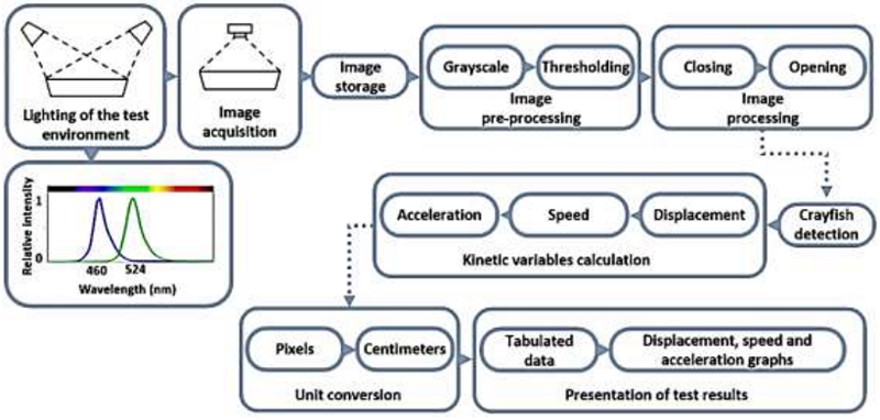 Block diagram of the CTMV system that was designed to
characterize crayfish locomotor activity.