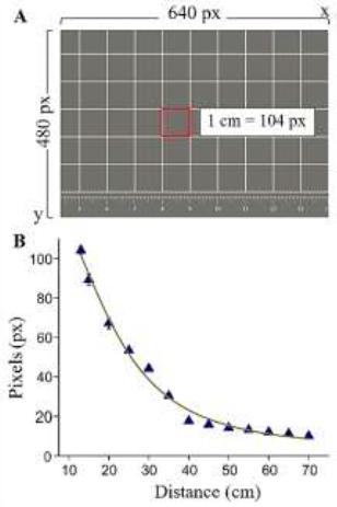 Conversion from pixels to centimeters. A. Kaiser base image
showing the grid surface obtained at a height of 20 cm. B.
Equivalence of pixels at 1 cm. Triangles represent measurements
obtained at different working distances. The solid line represents a
non-linear fit.