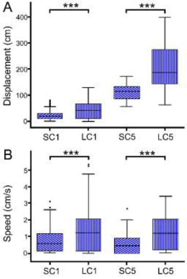 Comparison of the displacement and speed of two crayfish groups
(for 5 minutes) when stimulated with monochromatic blue light. Group
1 = placed in large containers (LC); Group 2 = placed in small
containers (SC). A. Displacement of a crayfish group in SC (N = 4)
vs. a group in LC (N = 5), evaluated during the first minute (SC1
and LC1, respectively) and minute 4 to 5 (SC5 and LC5,
respectively). B. Locomotor activity speed of each crayfish group,
(compared as described above). *** = p < 0.001.