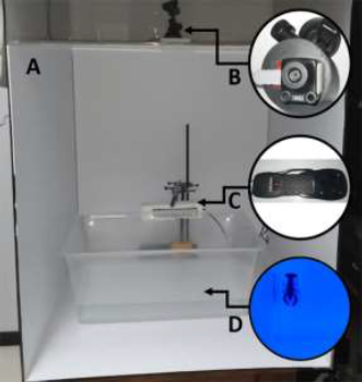 Artificial vision system physical assembly. A) Work area setup.
B) IDS camera. C) Lighting system. D) Container for P.
Clarkii.
