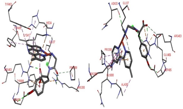 3D interactions of 9-Spike-ACE2 complex (left) and 3-Spike-ACE2 complex (right) adducts. To recognize principal interactions, most the protein was removed. Only the main interactions were presented.