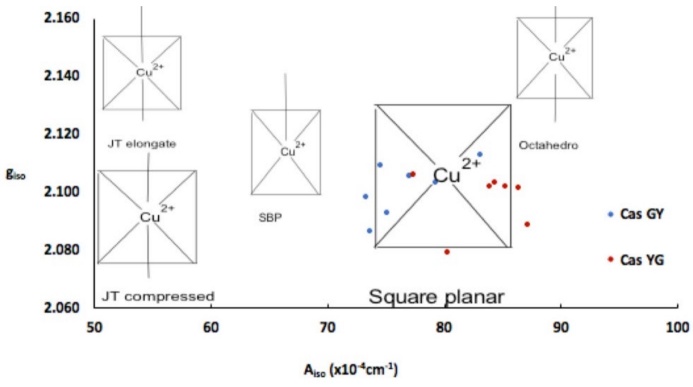 Aiso vs giso diagram. Comparison of several copper(II) coordination compounds with different geometries, compounds studied in this work appear as square planar.