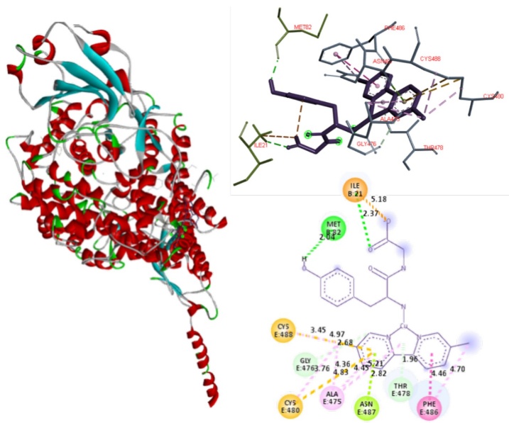 Docked simulations of 6:Spike-ACE2 complex, C-terminal region. In the left side can be founded the complete complex. Red: Chain B of ACE2. Blue: Chain E of Spike. In the top right is showed a 3D diagram with the principal interactions between 6 and Spike-ACE2 complex. 2D diagrams is in the bottom of the right side.
