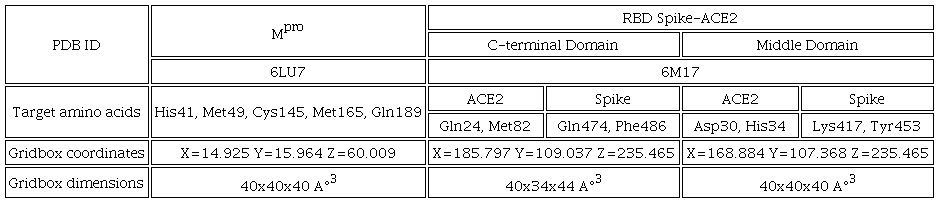 Experimental parameters of molecular docking.