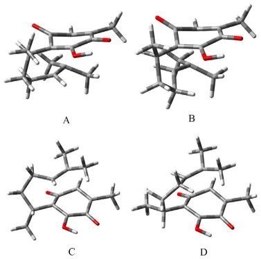 Geometries of the transition-states A, B and C, D of the cycloaddition path to produce α- and β- pipitzols, respectively.