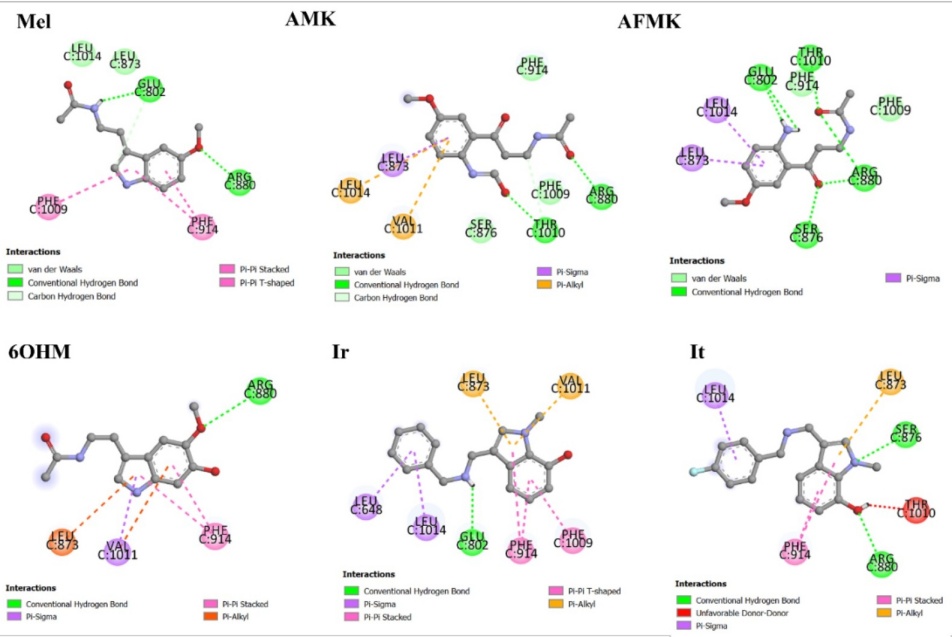 2D representation of molecular interactions of Mel, metabolites, and analogues with residues of the active site of XO.