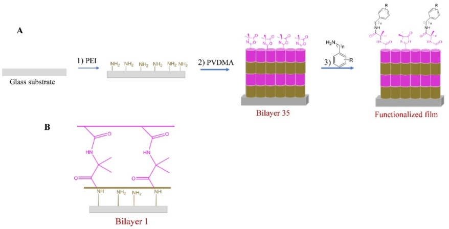 (A) Schematic drawing of the prepared LBL assembly, (B) LBL film with PVDMA at the uppermost layer (35 bilayers).