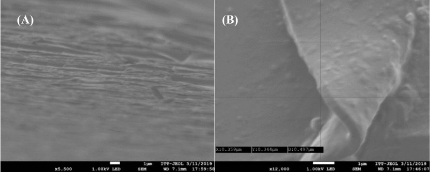 Representative FESEM images of the film: (A) image of a 35-bilayer thin film, (B) and its measure.