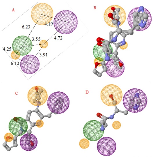 (A) Pharmacophoric model for NS3 receptor (B) Pharmacophoric model with 1a, and carnosine overlapping (C) 1a, and (D) Carnosine into the pharmacophoric model. The purple sphere depicts the hydrophobic-aromatic fragments, the orange sphere is the hydrogen acceptor fragments, and the green sphere is the hydrophilic fragments.