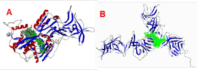 Studied molecules docked into the (A) modeled NS3 DENV4 serotype-4 surface, (B) the NS3-NS2B DENV4 serotype-4.