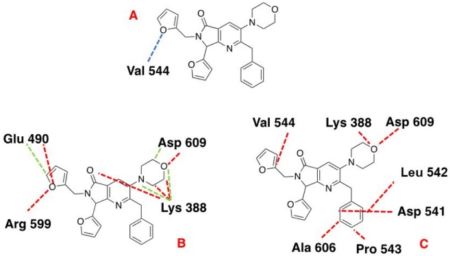 (A) Hydrogen bond, (B) Electrostatic, and (C) Steric interactions between NS3 and 1a. Blue lines depict the Hydrogen bond interactions, and Red and green dotted lines show the repulsive and attractive interaction, respectively.