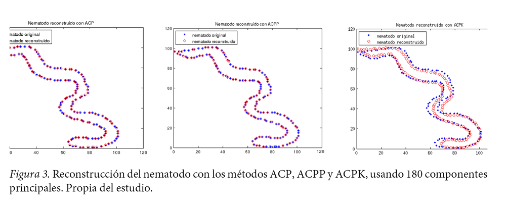 Reconstrucci&oacute;n
del nematodo con los m&eacute;todos ACP, ACPP y ACPK, usando 180 componentes
principales.