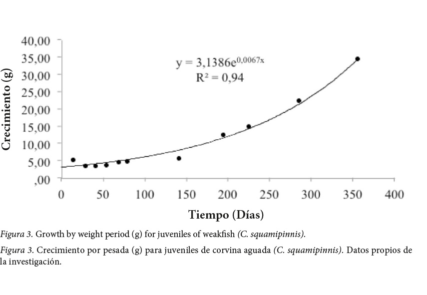 Crecimiento por pesada (g) para juveniles de corvina aguada (C. squamipinnis).