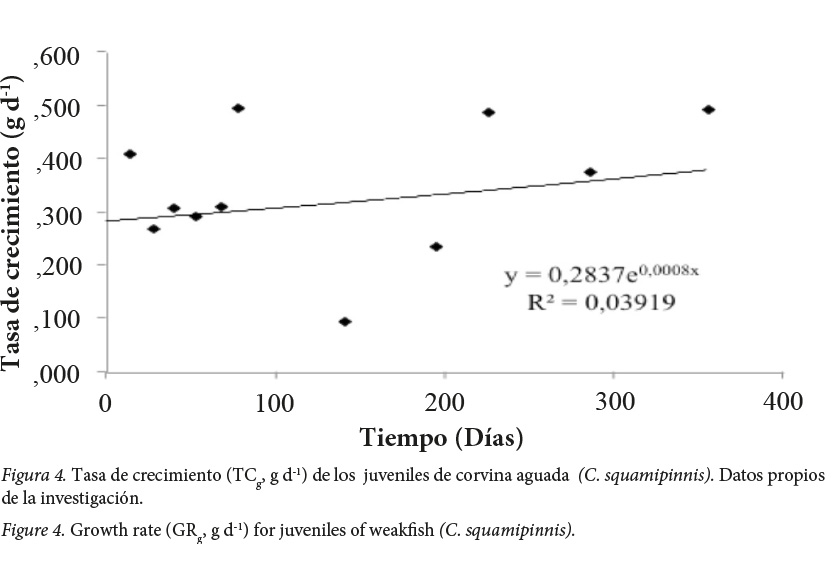 Tasa de crecimiento (TCg, g d-1) de los juveniles de corvina aguada (C.
squamipinnis)